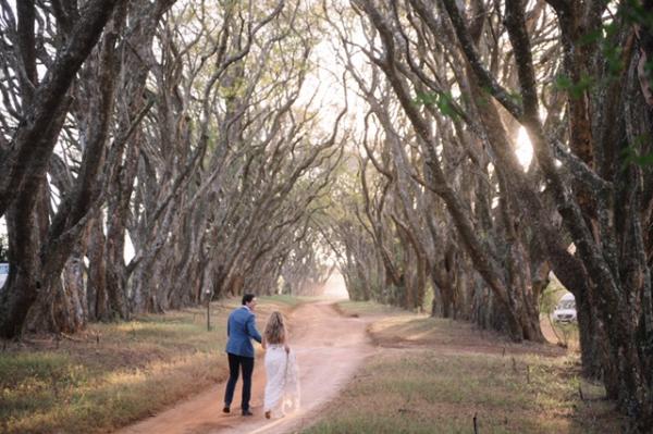 KRUGER PARK SUNSET SAFARI ADD ON White River CBD Corporate Event Venues _small