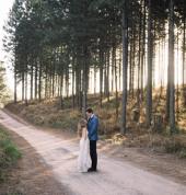 Pine forest showing off the beauty of the happy couple