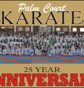 Palm Court Karate Centre Constantia Kloof Roodepoort CBD Sports Parties 1_small