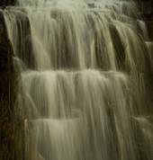 Hike to our Waterfall, in the Cloud forest