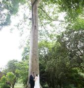 Macnut Farm garden wedding