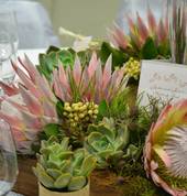 Floral Fantasia Events Vryheid Event Managers 6_small