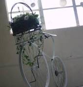 Floral Fantasia Events Vryheid Event Managers 9_small