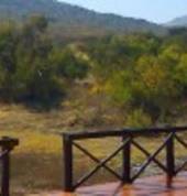 Amatava Private Game Lodge Mokopane / Potgietersrus / Mogalakwena Wildlife Centres & Zoos 6_small