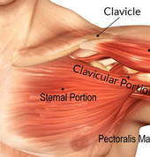 Sean Weltz Massage Somerset West Cape Town Central Beauty & Make-up Artists 3_small