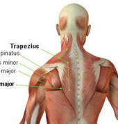 Sean Weltz Massage Somerset West Cape Town Central Beauty & Make-up Artists 4_small