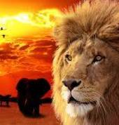Xpert Shuttle Travel & Tours Kempton Park CBD Corporate Event Transport 3_small