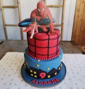 V&M Catering Pellican Park Birthday Cakes 2_small