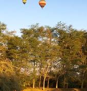 Bona Intaba Game Lodge Hoedspruit Hotels & Resorts 6_small