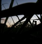 Tamryn Lowe Photography Randburg CBD Photographers 3_small