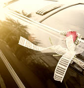 Wedding Limousine Hire cape town