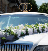 Limousine Wedding Dress