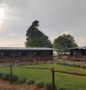 One World Equestrian Centre Amalinda Fitness & Personal Trainers 1_small