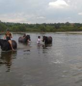 One World Equestrian Centre Amalinda Fitness & Personal Trainers 2_small