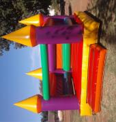 Your Fun Day Jumping Castles Blue Gill Jumping - Bouncy Castle Hire 3_small