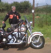 Check the Lions next to the road