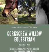 Corkscrew Willow Equestrian Chartwell Horse & Pony Riding Venues 3_small