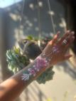 Bright Faces, Big Smiles — Limited Deal! Northcliff Face Painters