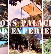 Baboons Palace Noordhoek Corporate Event Catering Food & Drinks 1_small
