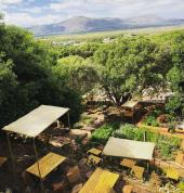 Baboons Palace Noordhoek Corporate Event Catering Food & Drinks 3_small