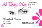 All Things Nice - Make Up Artist / FACE PAINTER / Graphic Designer Northern Paarl Face Painters