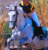 Shepherds Fold Stables Lanseria Horse & Pony Riding Venues 1_small