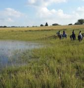 Shepherds Fold Stables Lanseria Horse & Pony Riding Venues 2_small