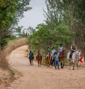 Shepherds Fold Stables Lanseria Horse & Pony Riding Venues 3_small