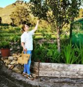 Kolossal Hospitality Hermanus Party Food Suppliers 1_small