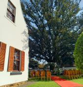 Wedding ceremony setup