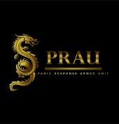 PRAU Security Fish Hoek Security Companies 1_small