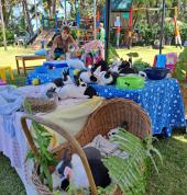 Bunnies relaxing on the tables