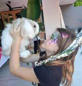 Jersey wollie rabbit