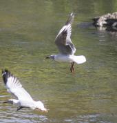 Gareth Owen Photography Fourways Photographers 3_small