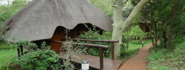 Tree Lodge