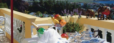 Welcome to Colona Castle