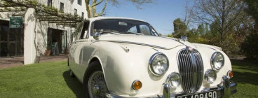 Classic Cats Stellenbosch CBD 1