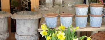 A warm welcome to Eros Florist