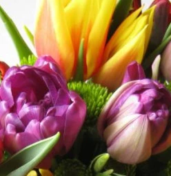 10% Off All Birthday Bouquets – Shop Now and Save! Sandton CBD Flowers &amp; Bouquets