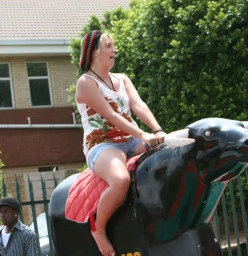 Mechanical Rodeo Bull for hire