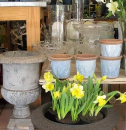 A warm welcome to Eros Florist