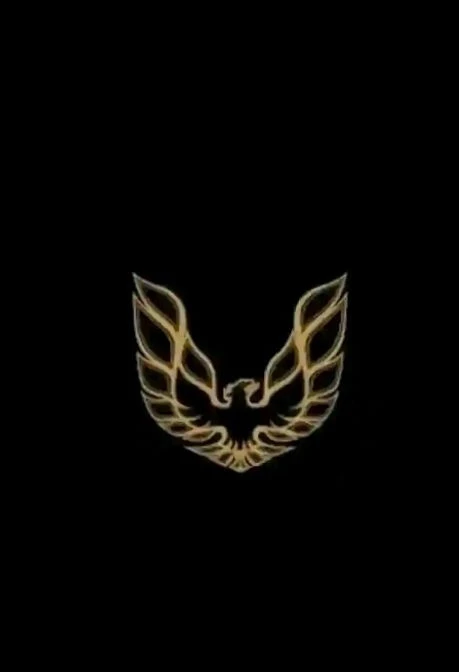 Individual Private Security (Patrick)